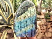 Polished Labradorite Standing Free Forms x 2 From Tulear, Madagascar