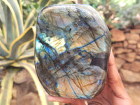 Polished Labradorite Standing Free Forms x 2 From Tulear, Madagascar