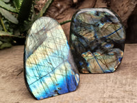 Polished Labradorite Standing Free Forms x 2 From Tulear, Madagascar