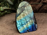 Polished Labradorite Standing Free Forms x 2 From Tulear, Madagascar