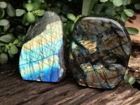 Polished Labradorite Standing Free Forms x 2 From Tulear, Madagascar