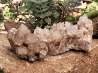 Natural Smokey Phantom Quartz Clusters x 2 From Luena, Congo