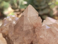 Natural Smokey Phantom Quartz Clusters x 2 From Luena, Congo