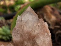 Natural Smokey Phantom Quartz Clusters x 2 From Luena, Congo