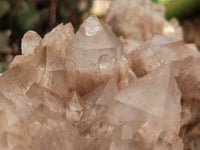 Natural Smokey Phantom Quartz Clusters x 2 From Luena, Congo