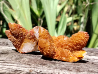 Natural Golden Solar Spirit Quartz Clusters x 20 From Boekenhouthoek, South Africa