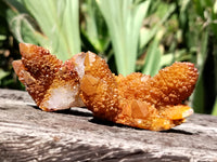 Natural Golden Solar Spirit Quartz Clusters x 20 From Boekenhouthoek, South Africa