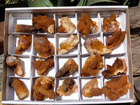 Natural Golden Solar Spirit Quartz Clusters x 20 From Boekenhouthoek, South Africa