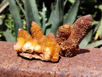 Natural Golden Solar Spirit Quartz Clusters x 20 From Boekenhouthoek, South Africa