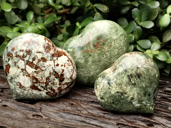 Polished Chrysoprase Hearts x 6 From Madagascar