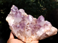 Natural Jacaranda Amethyst Quartz Clusters x 2 From Mumbwa, Zambia