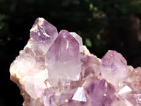 Natural Jacaranda Amethyst Quartz Clusters x 2 From Mumbwa, Zambia