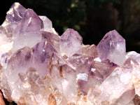 Natural Jacaranda Amethyst Quartz Clusters x 2 From Mumbwa, Zambia