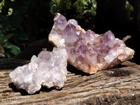 Natural Jacaranda Amethyst Quartz Clusters x 2 From Mumbwa, Zambia