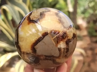 Polished Septerye Spheres x 4 From Mahajanga, Madagascar