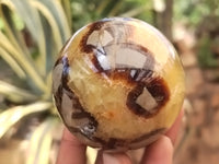 Polished Septerye Spheres x 4 From Mahajanga, Madagascar