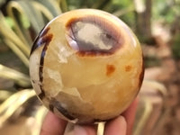 Polished Septerye Spheres x 4 From Mahajanga, Madagascar