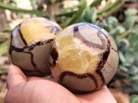 Polished Septerye Spheres x 4 From Mahajanga, Madagascar