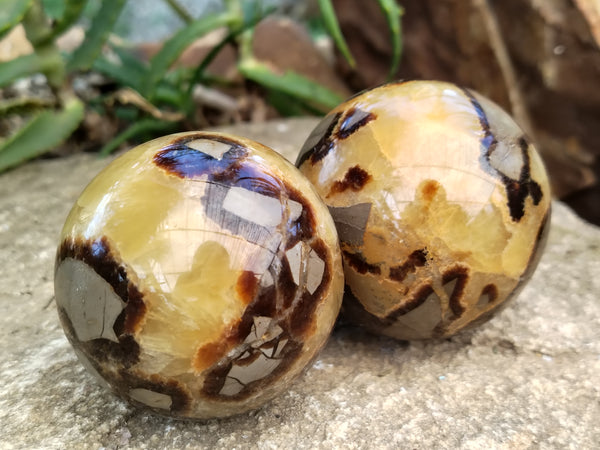 Polished Septerye Spheres x 4 From Mahajanga, Madagascar