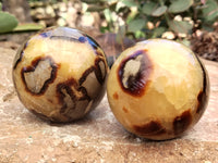 Polished Septerye Spheres x 4 From Mahajanga, Madagascar