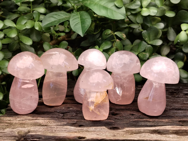 Polished Rose Quartz Mushrooms x 6 From Ambatondrazaka, Madagascar