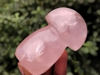 Polished Rose Quartz Mushrooms x 6 From Ambatondrazaka, Madagascar