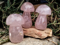 Polished Rose Quartz Mushrooms x 6 From Ambatondrazaka, Madagascar