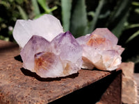 Natural Amethyst Spirit Quartz Clusters x 12 From Boekenhouthoek, South Africa