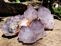 Natural Amethyst Spirit Quartz Clusters x 12 From Boekenhouthoek, South Africa