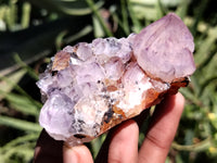 Natural Amethyst Spirit Quartz Clusters x 12 From Boekenhouthoek, South Africa