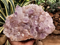 Natural Jacaranda Amethyst Quartz Clusters x 1 From Mumbwa, Zambia