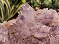 Natural Jacaranda Amethyst Quartz Clusters x 1 From Mumbwa, Zambia