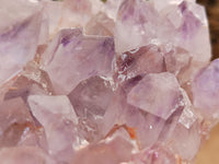 Natural Jacaranda Amethyst Quartz Clusters x 1 From Mumbwa, Zambia