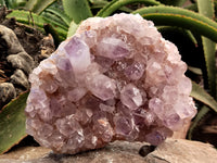 Natural Jacaranda Amethyst Quartz Clusters x 1 From Mumbwa, Zambia