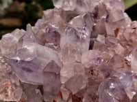 Natural Jacaranda Amethyst Quartz Clusters x 1 From Mumbwa, Zambia