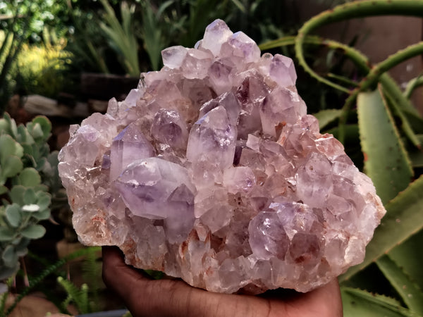 Natural Jacaranda Amethyst Quartz Clusters x 1 From Mumbwa, Zambia