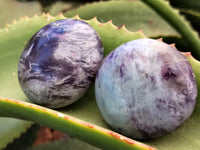 Polished Lepidolite with Pink Rubellite Palm Stones x 24 From Ambatondrazaka, Madagascar