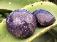 Polished Lepidolite with Pink Rubellite Palm Stones x 24 From Ambatondrazaka, Madagascar