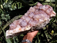 Natural Amethyst Spirit Quartz Cluster x 1 From Boekenhouthoek, South Africa