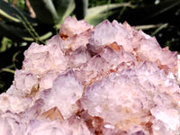 Natural Amethyst Spirit Quartz Cluster x 1 From Boekenhouthoek, South Africa