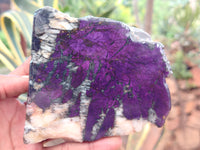 Polished On One Side Purpurite Specimens x 6 From Namibia