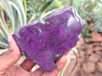 Polished On One Side Purpurite Specimens x 6 From Namibia