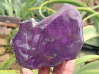 Polished On One Side Purpurite Specimens x 6 From Namibia