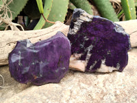 Polished On One Side Purpurite Specimens x 6 From Namibia