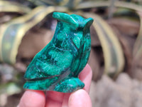 Hand Made Flower Malachite Owl Carvings x 6 From Congo