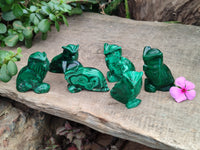 Hand Made Flower Malachite Owl Carvings x 6 From Congo