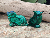 Hand Made Flower Malachite Owl Carvings x 6 From Congo