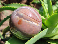 Polished Polychrome Jasper Spheres x 4 From Mahajanga, Madagascar