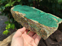 Natural Botryoidal Malachite Specimens x 2 From Tenke Fungurume, Congo