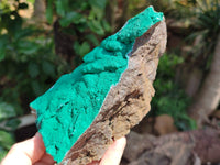 Natural Botryoidal Malachite Specimens x 2 From Tenke Fungurume, Congo